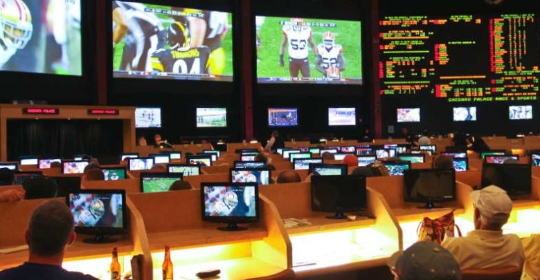 Sports Betting in June in Detail