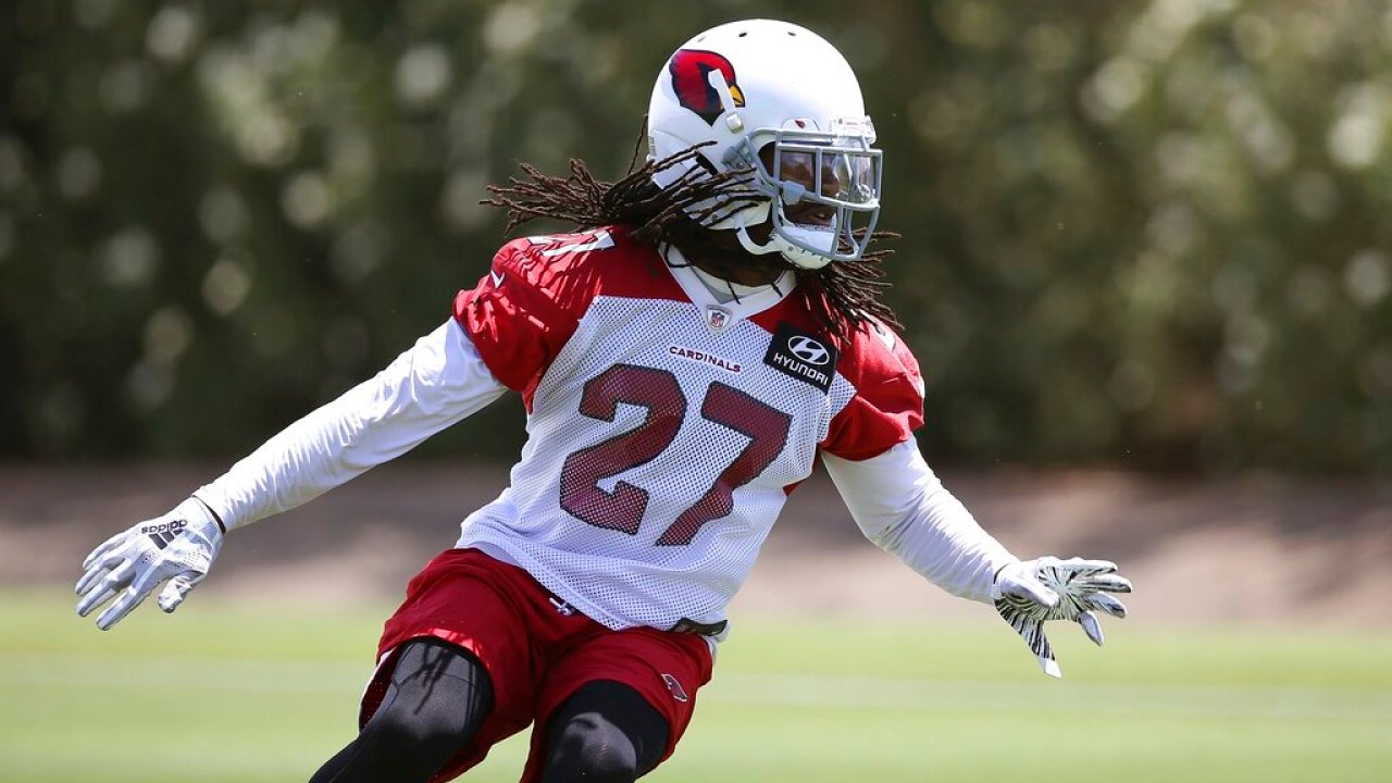 More Information Surfaces On NFL Player Suspended For Gambling