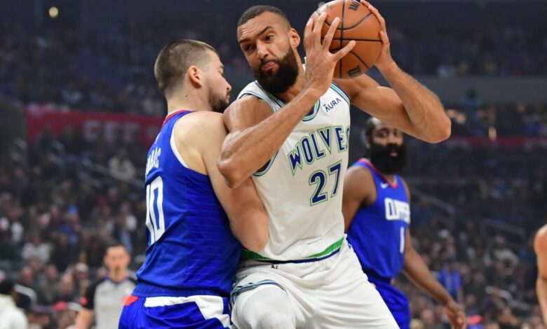Rudy Gobert